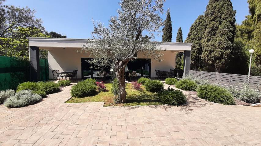 Apartmani Brajkovic Rovinj Exterior foto
